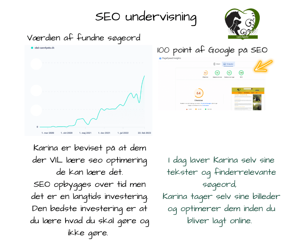 SEO undervisning - Care4pets